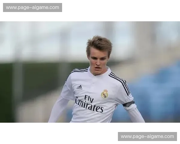 阿森纳队长厄德高赛后跛行引担忧,密集赛程面临考验 阿森纳队长厄德高赛后跛行引担忧,密集赛程面临考验